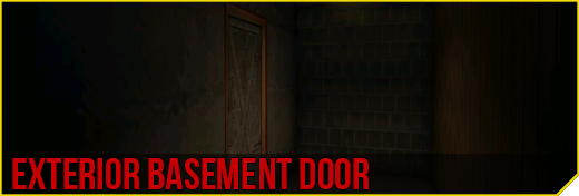 Exterior Basement Door